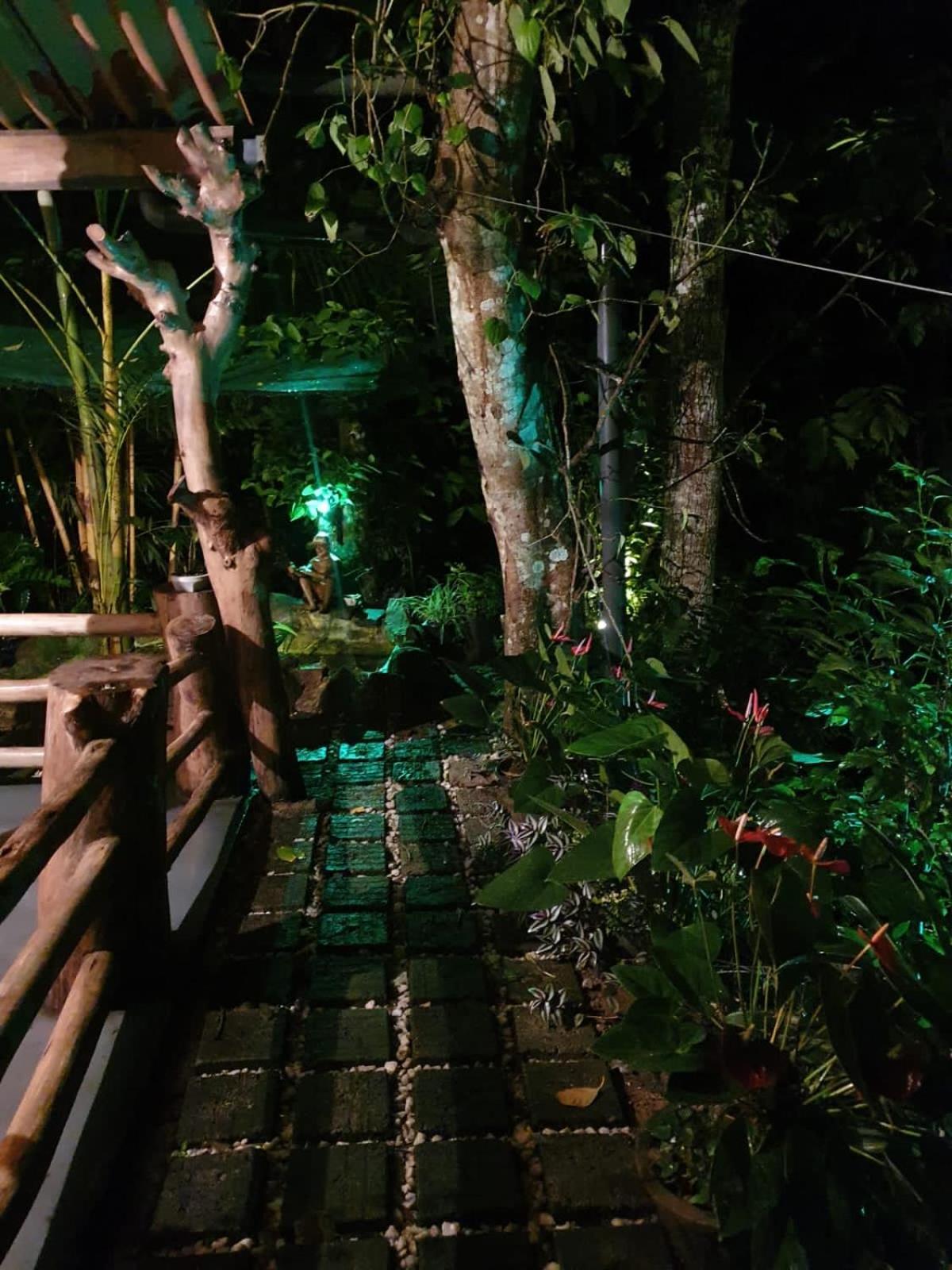 Treetops Ella Zewnętrze zdjęcie