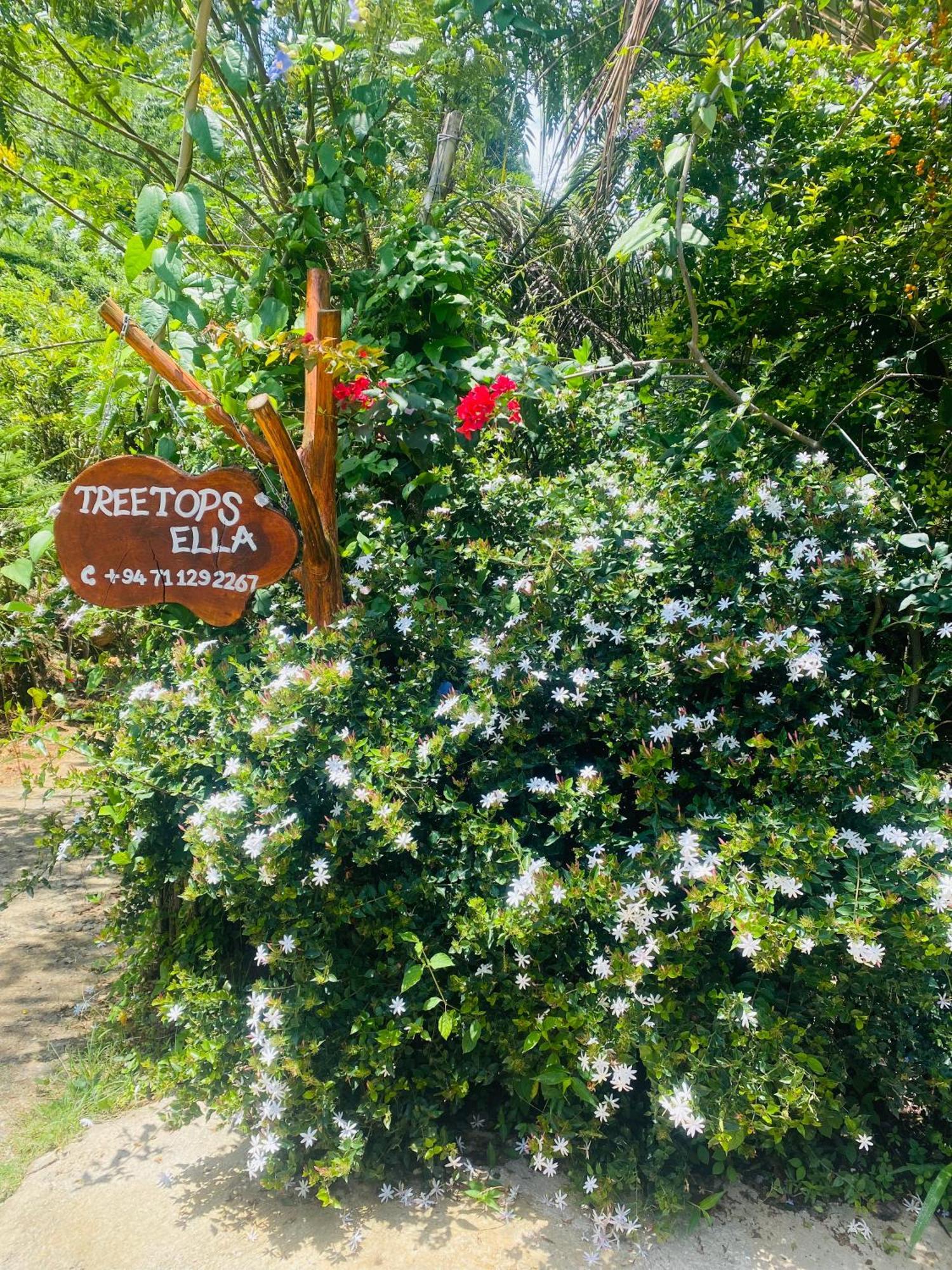 Treetops Ella Zewnętrze zdjęcie